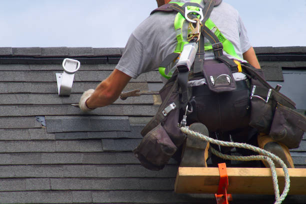 Best Flat Roof Repair Services  in Wabasha, MN