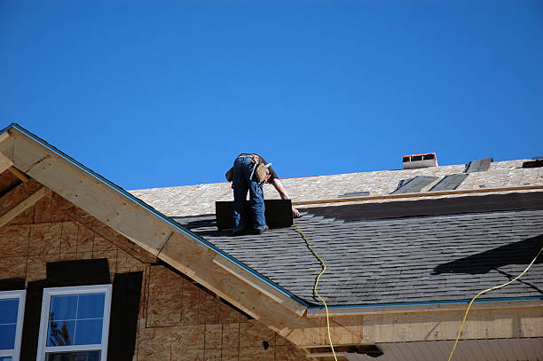 Best Storm Damage Roof Repair  in Wabasha, MN